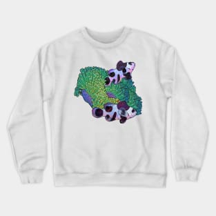 Black and White Clown Fish Crewneck Sweatshirt